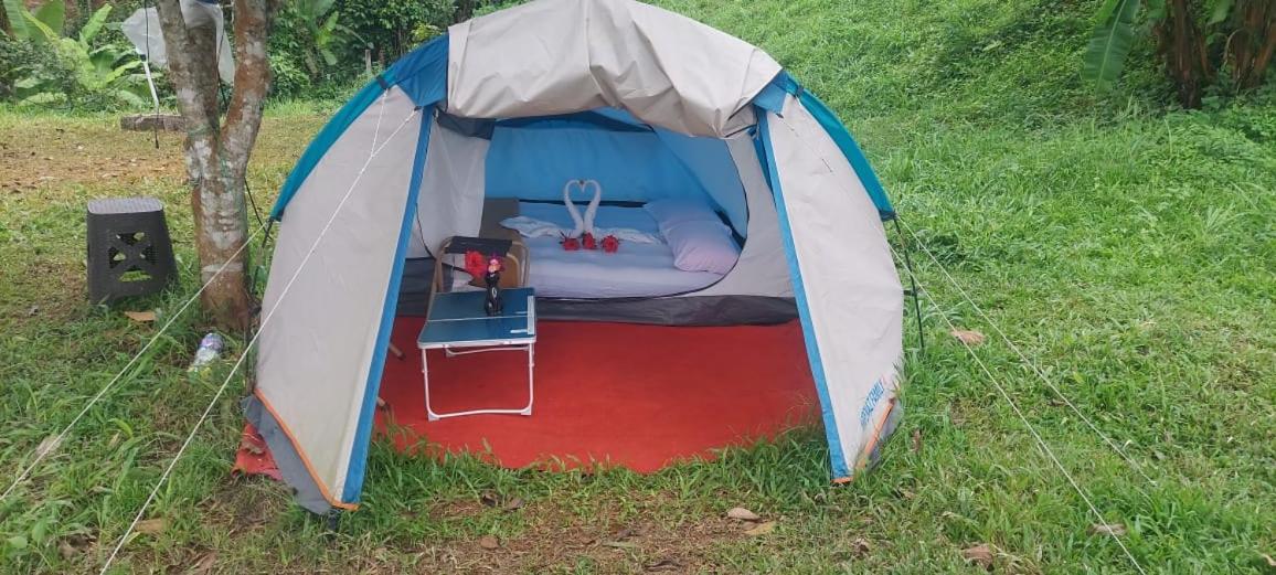Munnar Tent Hills Resort Devikolam Exteriör bild