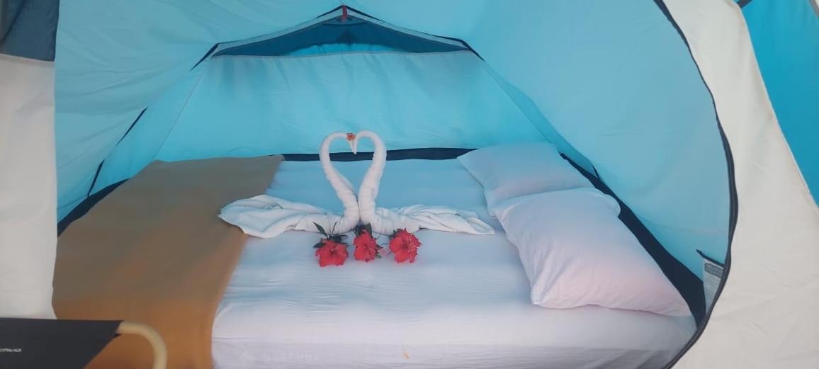Munnar Tent Hills Resort Devikolam Rum bild