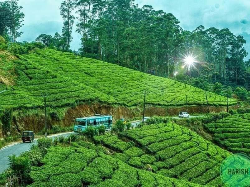 Munnar Tent Hills Resort Devikolam Exteriör bild