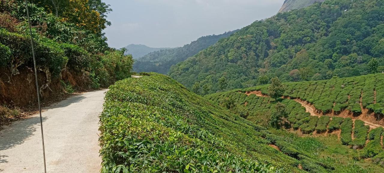 Munnar Tent Hills Resort Devikolam Exteriör bild