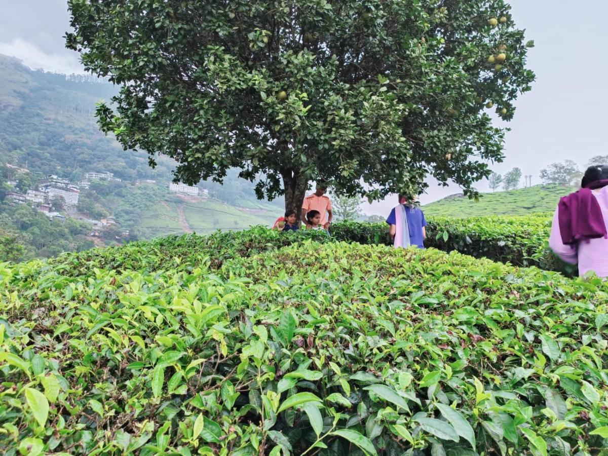 Munnar Tent Hills Resort Devikolam Exteriör bild